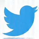 Twitter icon